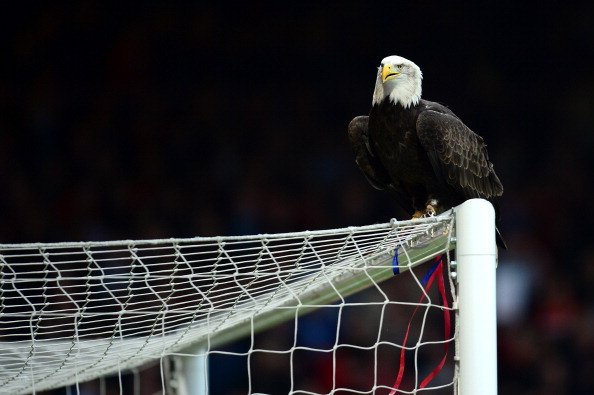 Crystal Palace v Liverpool – Premier League