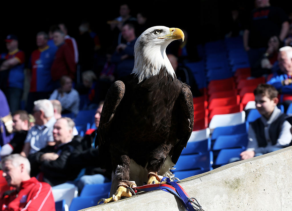 Crystal Palace v Chelsea – Premier League