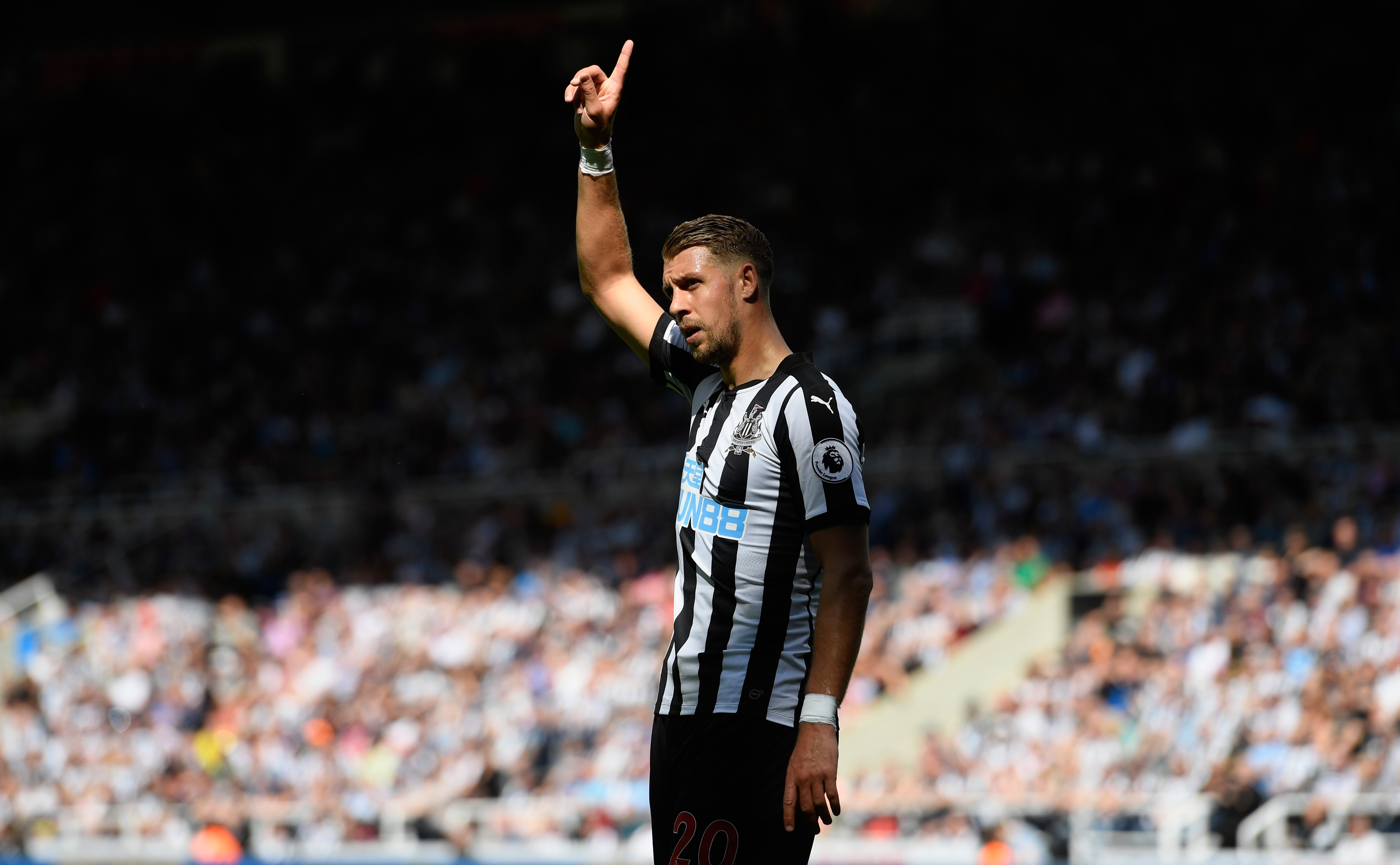 Newcastle United v Tottenham Hotspur – Premier League