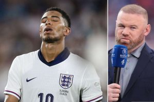 aop_bellinghamrooneykuvitus