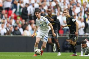 aop_grayarchie20240525