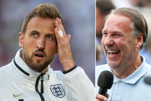 aop_kanemersonkuvitus