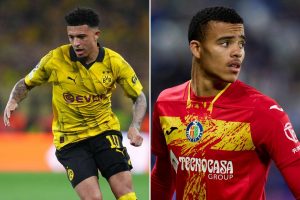 aop_sanchogreenwoodkuvitus