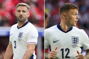 aop_shawtrippierkuvitus