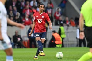 aop_yoroleny20240418