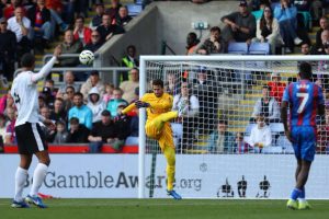 aop_BeckerAlisson2024105