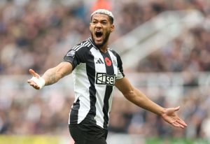 aop_joelinton20241102