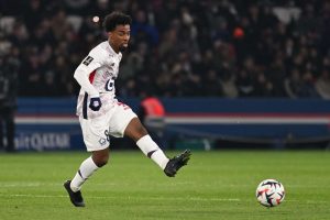 aop_GomesAngel202536