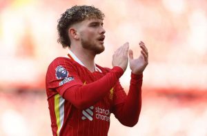 aop_ElliottHarvey202552