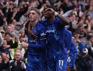 aop_PalmerCole202555