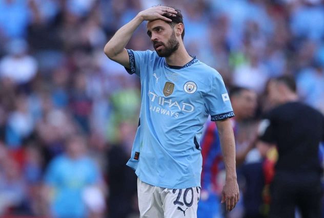 aop_SilvaBernardo20250517