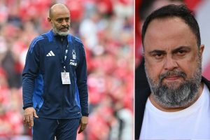 aop_nunomarinakiskuvitus