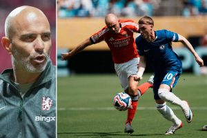 aop_marescachelseabenficakuvitus