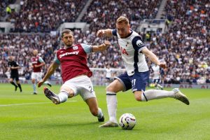 aop_rodriguezguido20241019