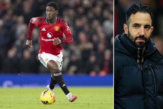 aop_mainooamorimkuvitus