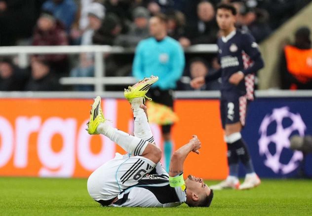 aop_GuimaraesBruno30.3DHR0H6