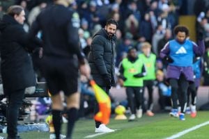 aop_amorimruben20250104